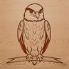 Falcon Bird Silhouette SVG A digital vector illustration of a falcon bird in a clean silhouette style.