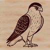 Free Vector Falcon Design A detailed illustration of a falcon in flight, created as a free vector graphic suitable for commercial or personal use.