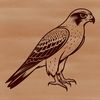 Winged Wonder Silhouette A detailed vector illustration of a falcon in flight, showcasing its bird of prey characteristics.