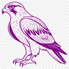 Vector Falcon Illustration for Cutting Machines A detailed vector illustration of a falcon in mid-flight, suitable for various commercial and personal uses.