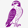 A detailed vector illustration of a falcon bird in flight.