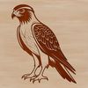 Sharp Winged Bird Silhouette for Cricut or Laser Cutter A high-quality SVG silhouette of a bird of prey, perfect for cutting out with a Cricut or laser cutter.