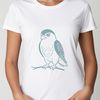 Falcon Vector Art Silhouette A detailed vector illustration of a bird of prey, specifically a falcon, suitable for commercial or personal use.