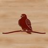 Beautiful Bird SVG Cut File Design Falcon bird silhouette vector graphic, suitable for commercial use.