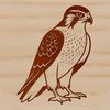 Falcon in Flight Vector Image A high-quality vector image of a falcon in flight, ideal for cutting machines like Cricut or laser engraving.