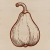 High-Resolution Vector Squash Image A high-resolution vector illustration of a squash, suitable for graphic design projects.