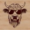 Highland Cow in Shades A Highland Cow is shown wearing sunglasses, standing on a green pasture.
