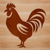 A vector illustration of a domesticated chicken in various poses.