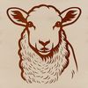 Whimsical Sheep Illustration A simple illustration of a sheep's head, suitable for use in design projects.