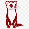 A detailed vector illustration of a domesticated ferret in various poses.