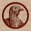 Detailed Turkey Illustration A detailed illustration of a turkey's head and body.