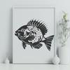 Crappie Artwork In PNG & SVG - Free Digital Download