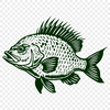 Unique Crappie Clip Art DXF - Free Download