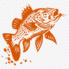 Beautiful Fish Clipart