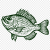 Artistic Fish Vector Craft File In DXF For Free Download