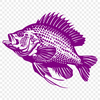 Unique Fish In SVG - For Free Download, Commercial Use