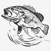 Free Free Fish Drawing