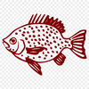 Fish In PNG Format - Free Commercial Use License