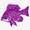 Creative Fish In SVG & DXF