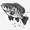 Beautiful Fish Vector Craft File