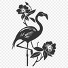 Unique Bird PNG