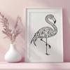 Free Flamingo Image