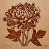 Chrysanthemum Plant Illustration A realistic representation of a Chrysanthemum plant, ideal for gardening and floral-themed artwork.