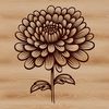 Vector Floral Design - Chrysanthemum Bloom A detailed illustration of a Chrysanthemum plant with multiple blooms, suitable for vector design and graphic art.