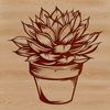 Illustrated succulent plant illustration in vector format.