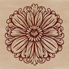 Chrysanthemum Flower Illustration Vector Art A detailed illustration of a Chrysanthemum flower in various stages of growth, suitable for vector art and commercial use.