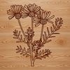 Whimsical Wildflower Design A colorful illustration of a single wild flower with petals and center, suitable for use in crafting or design projects.