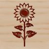 A vibrant sunflower with large yellow petals and a dark center, commonly found in gardens and fields.