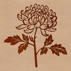 Vibrant Chrysanthemum Blooms A colorful illustration of a blooming Chrysanthemum flower in full detail, suitable for vector graphics and digital art.