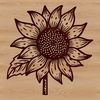 Yellow Sunflower in Full Bloom A large, bright yellow sunflower with dark brown petals and a prominent center, ideal for gardening and floral designs.