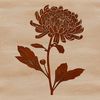 Beautiful Chrysanthemum Clip Art A colorful illustration of a single chrysanthemum flower against a simple background.