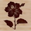A detailed vector illustration of a Hibiscus flower with intricate petals and stem.