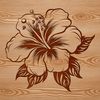 A detailed illustration of a hibiscus flower with layered petals, suitable for vector art designs.