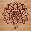 Beautiful Stylized Chrysanthemum Plant A high-quality vector design featuring a stylized chrysanthemum plant with intricate details.