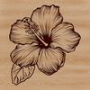 A vector graphic representation of a single large hibiscus bloom in full color.