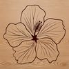 A colorful illustration of a hibiscus flower in various shapes and sizes, suitable for floral design and gardening projects.