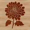 Beautiful Asian-Inspired Flower Artwork A detailed illustration of a blooming chrysanthemum flower with realistic petals and foliage.