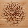 A stylized illustration of a blooming chrysanthemum flower in vector format.