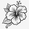 Hibiscus In DXF Format - Free Commercial Use License