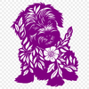 Creative Havanese In PNG For Free Download