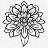 Chrysanthemum Vector Illustration In SVG, PNG, PDF And DXF Formats