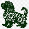 Artistic Havanese In PDF - Free Digital Download