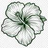 Creative Plant PNG