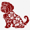 Beautiful Shih Tzu In SVG - For Free Download, Commercial Use