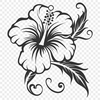 Flower Vector Drawing In PNG File Format For Free Download