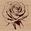 Single Rose Illustration in Vector Format Illustration of a single rose flower in various vector formats.